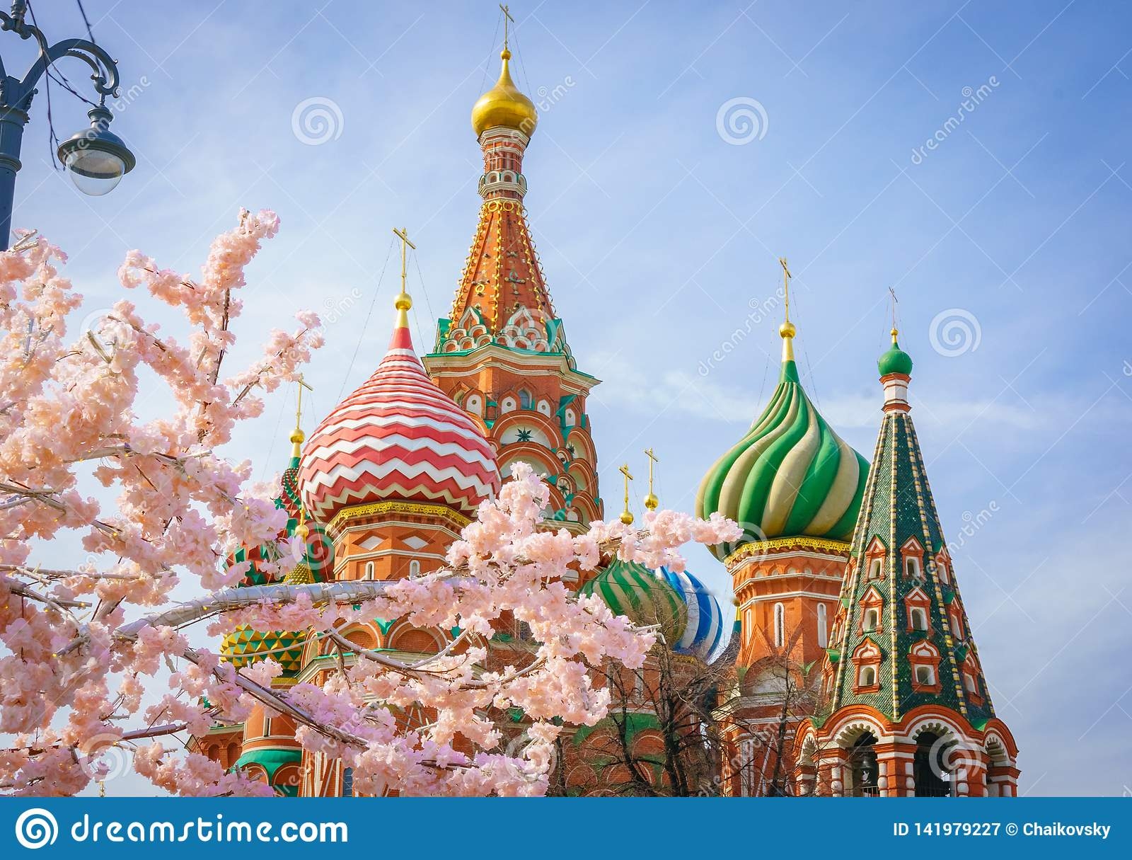 Moscow And St Basil Cathedral At Spring Day Through Flowering Tree 