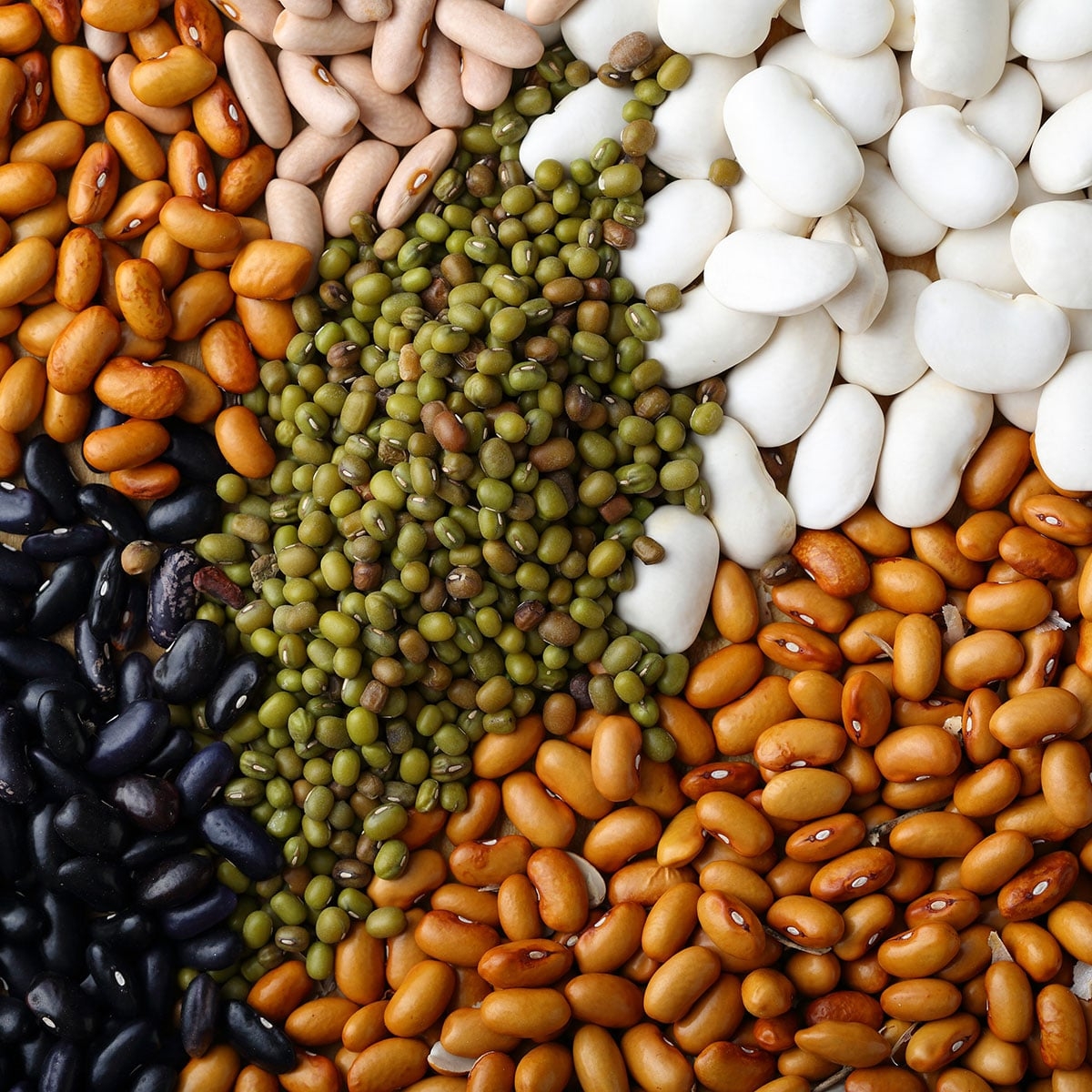 National Bean Day January 6 2019 National Today 