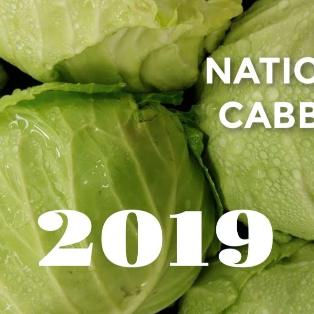 National Cabbage Day 2019 Youtube