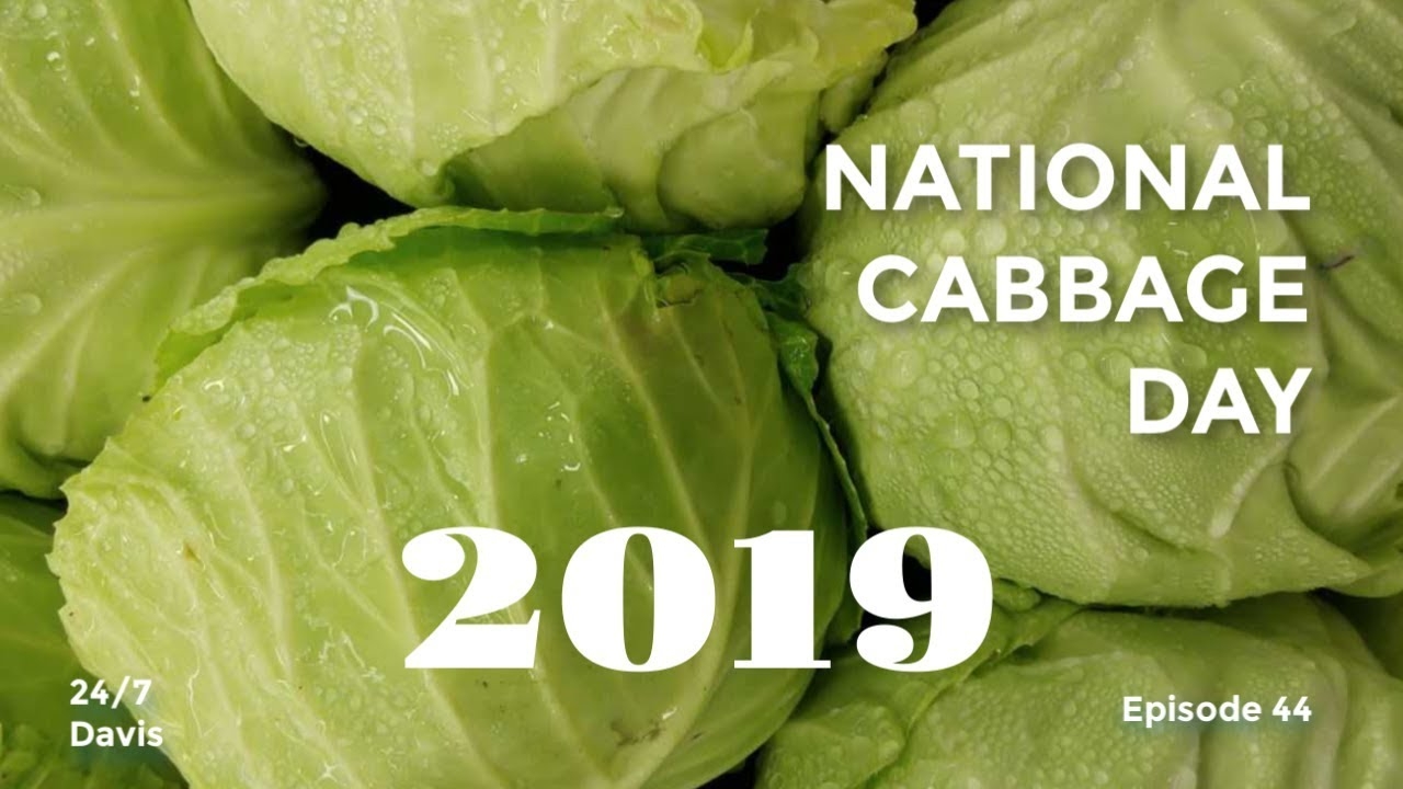 National Cabbage Day 2019 Youtube