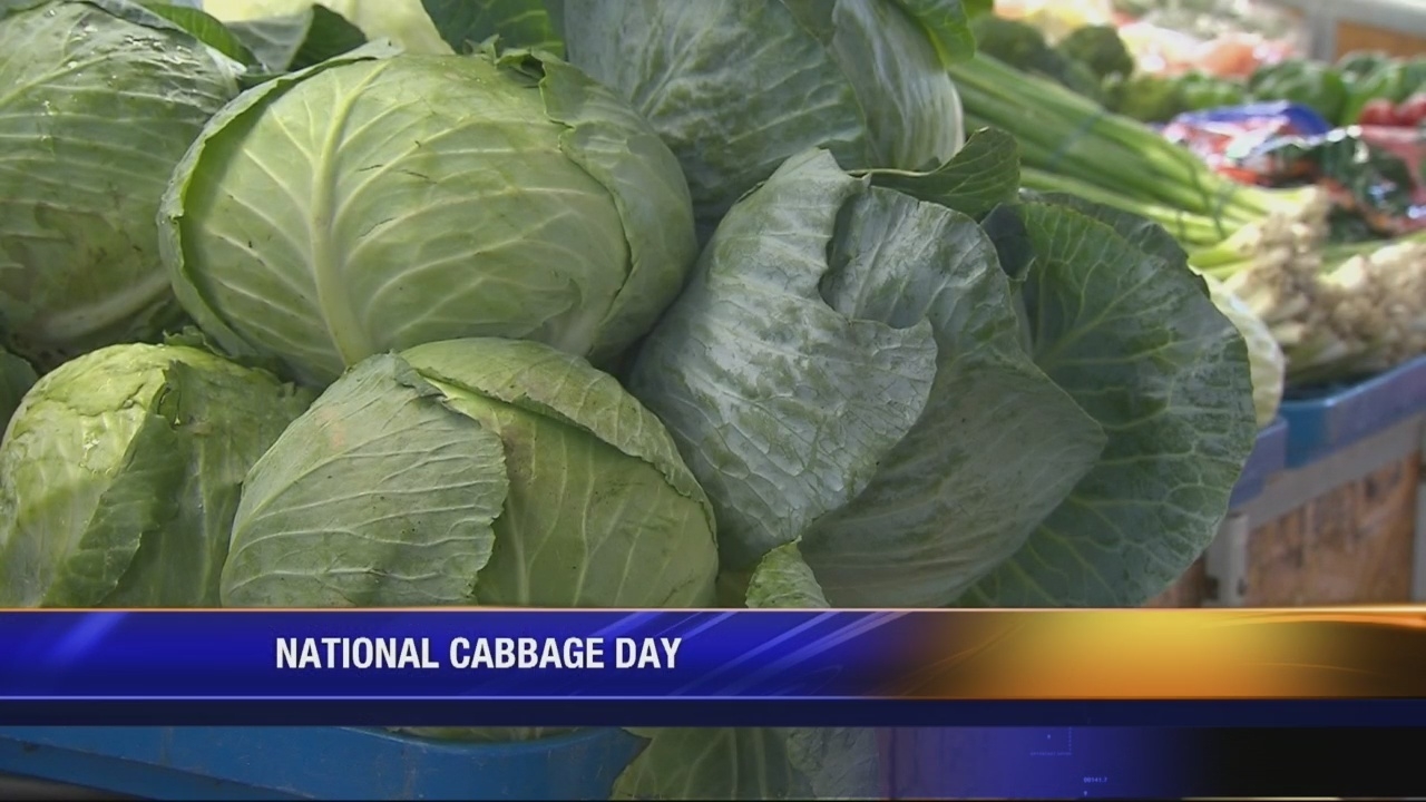 National Cabbage Day