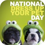 National Dress Up Your Pet Day Old Dog Haven