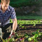 National Farmers Day October 12 2019 National Today