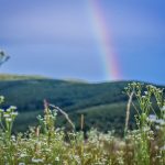 National Find A Rainbow Day April 3 2019 National Today