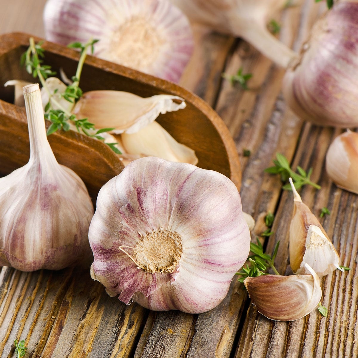 National Garlic Day April 19 2019 National Today 