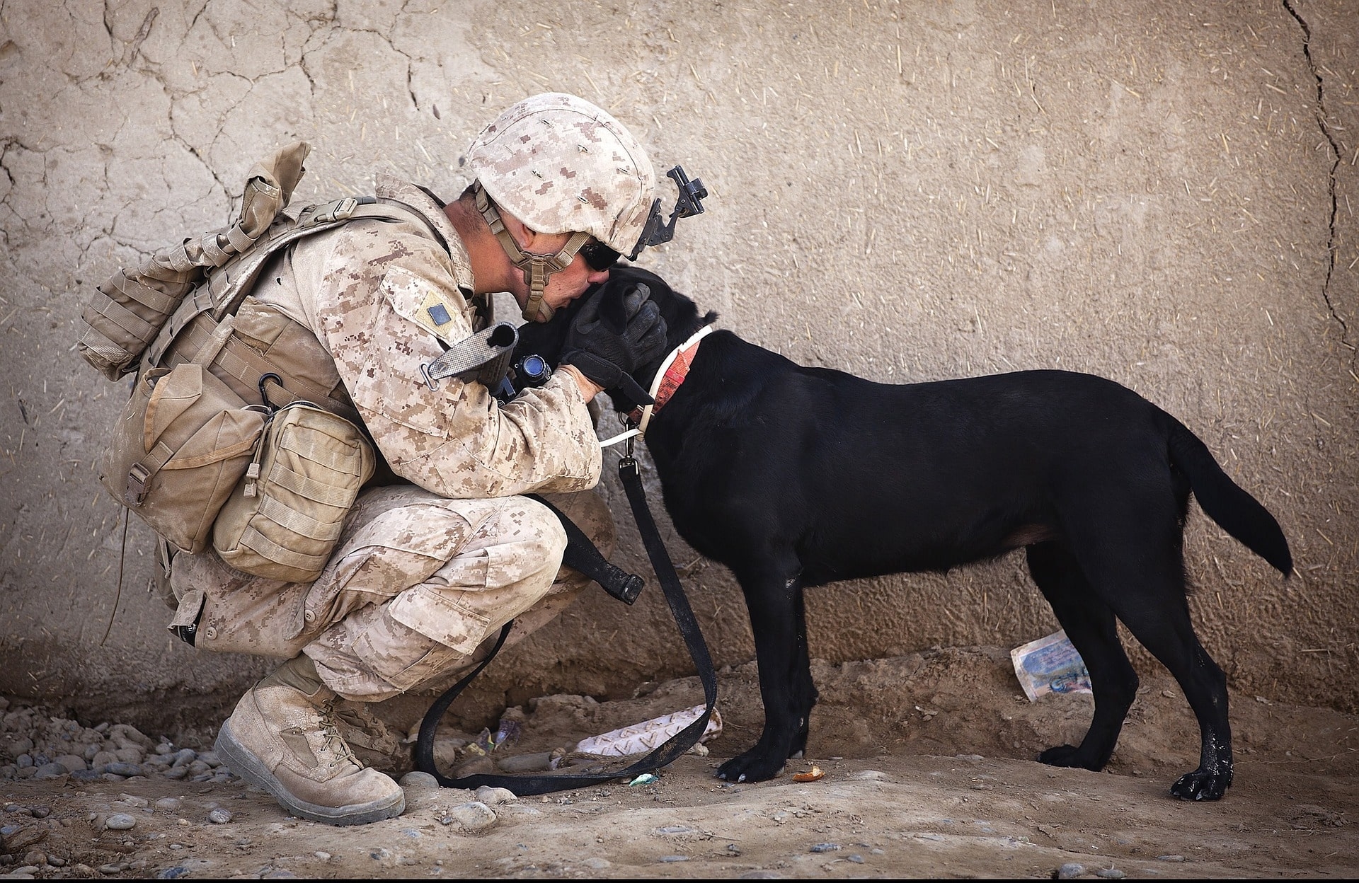 National K9 Veterans Day Keiser University 