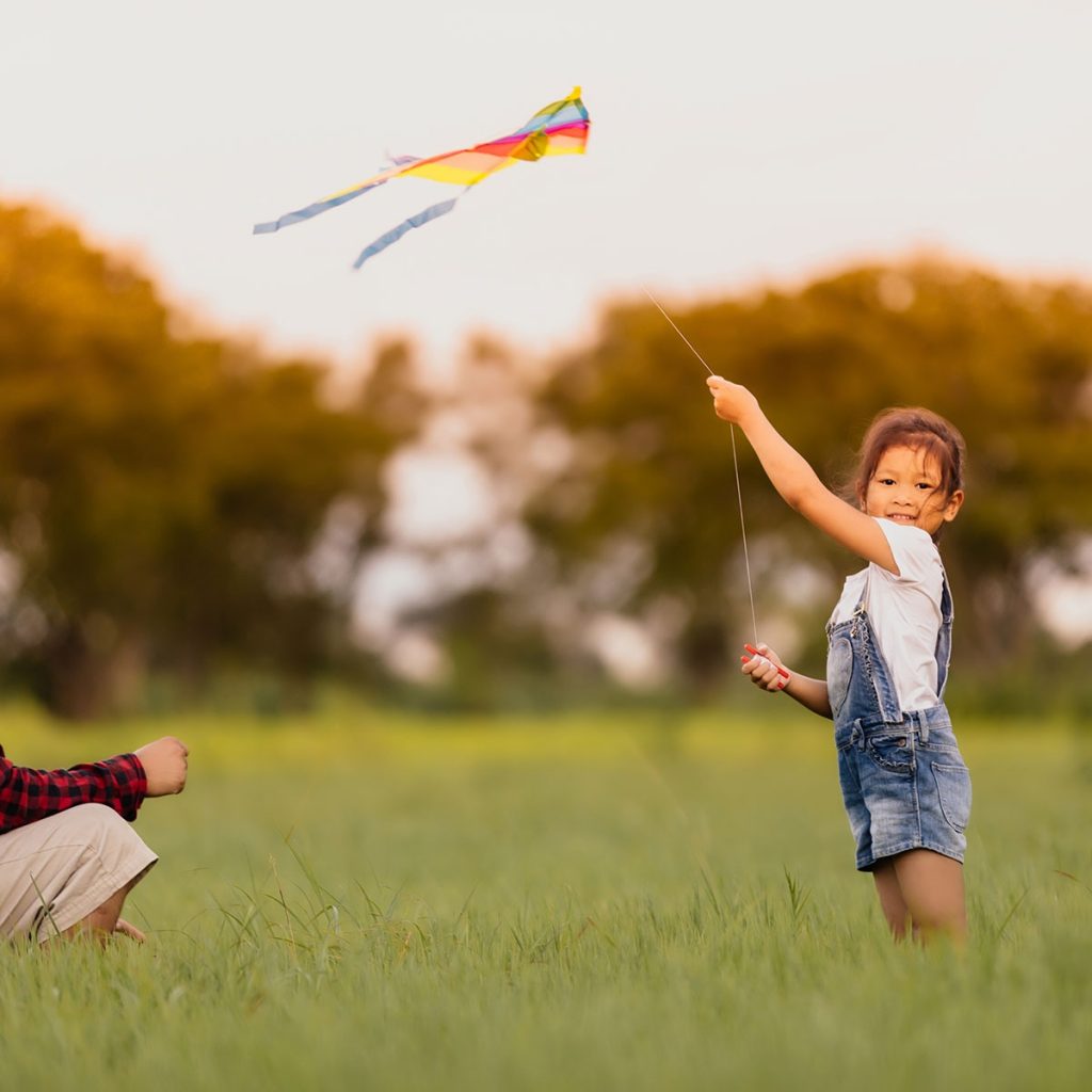 National Kite Flying Day February 8 2019 National Today