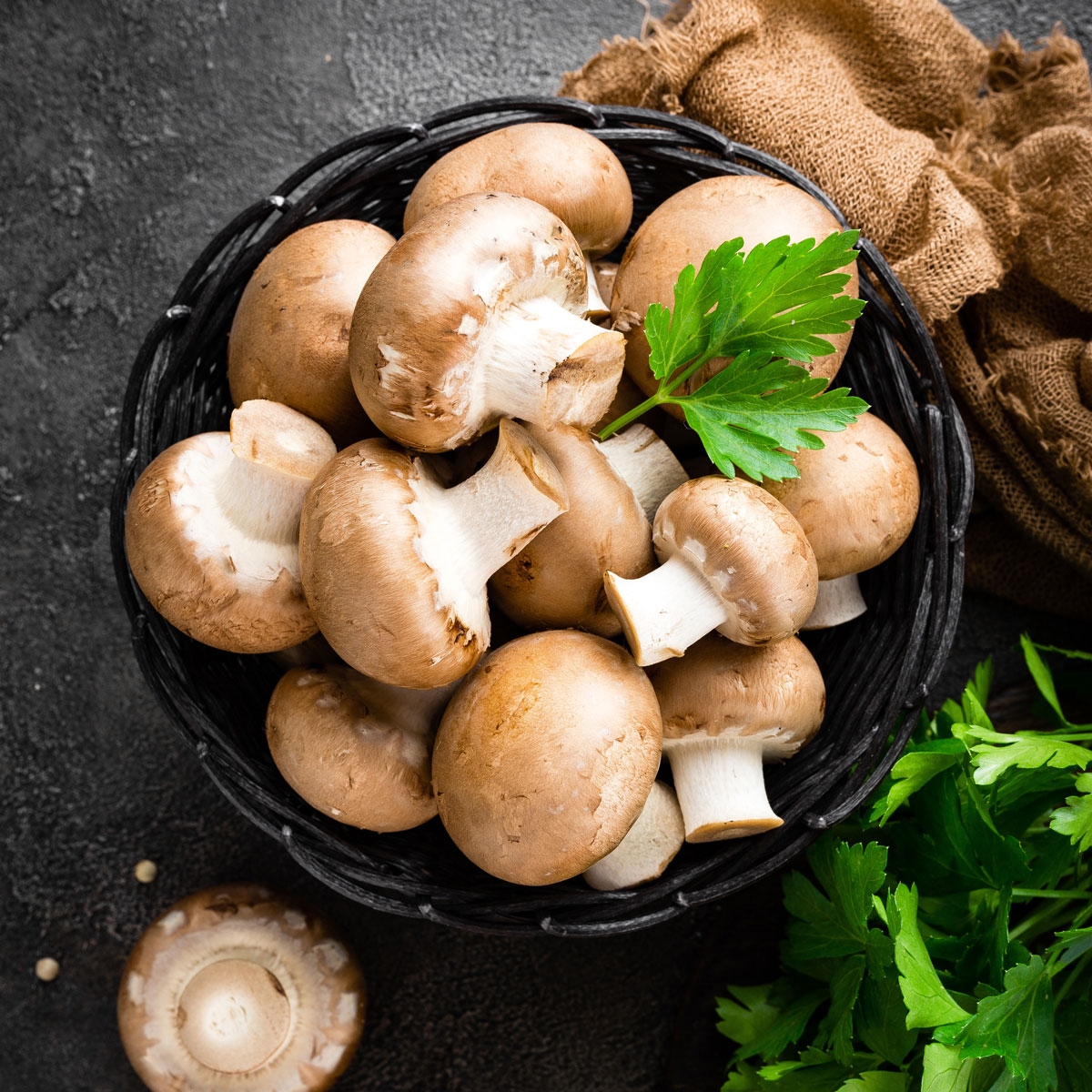 National Mushroom Day October 15 2019 National Today 