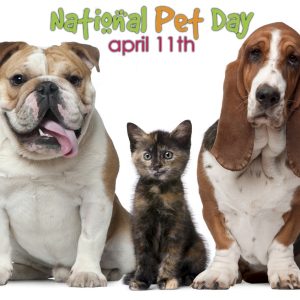 National Pet Day 2019 Calendar Date When Is National Pet Day 2019