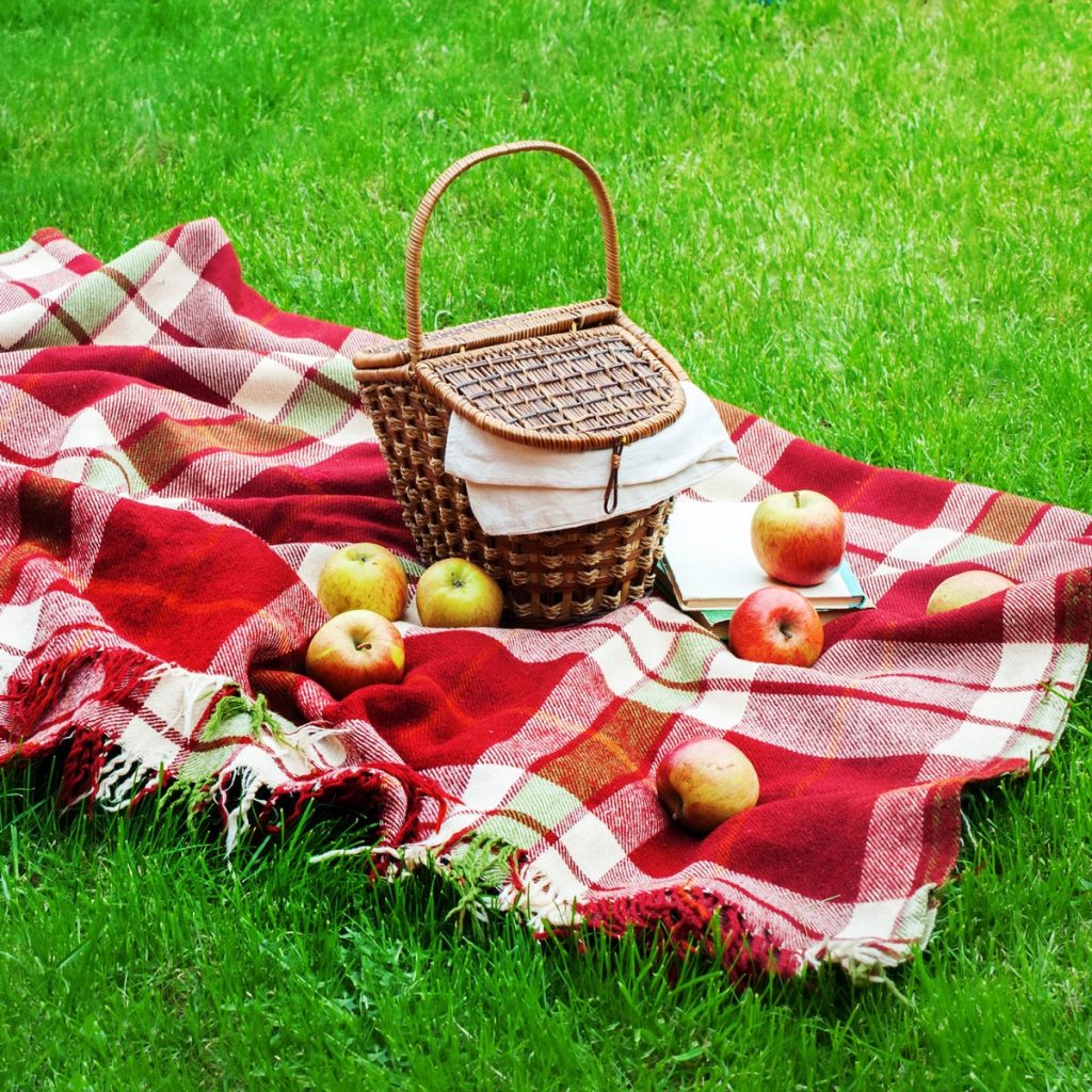 National Picnic Day April 23 2019 National Today