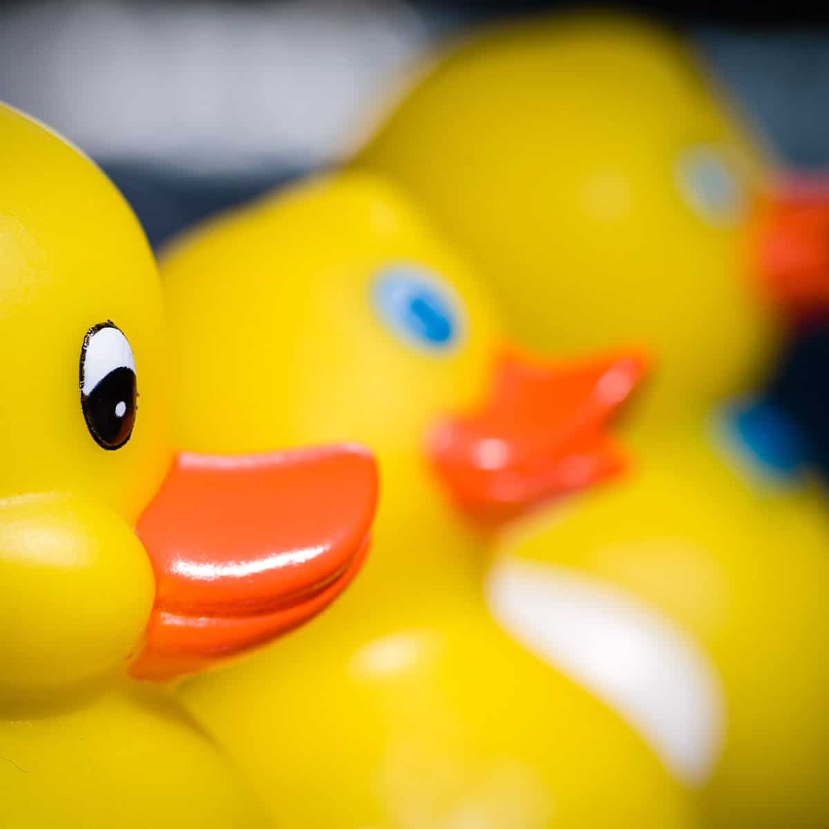 National Rubber Ducky Day January 13 2019 National Today