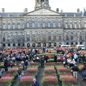 National Tulip Day I Amsterdam