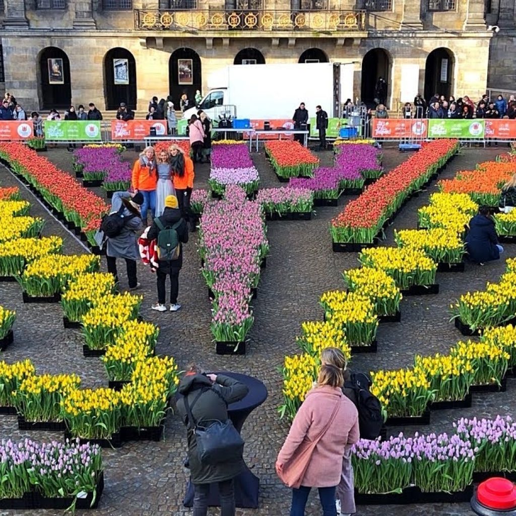 National Tulip Day In Amsterdam 2019 Youtube