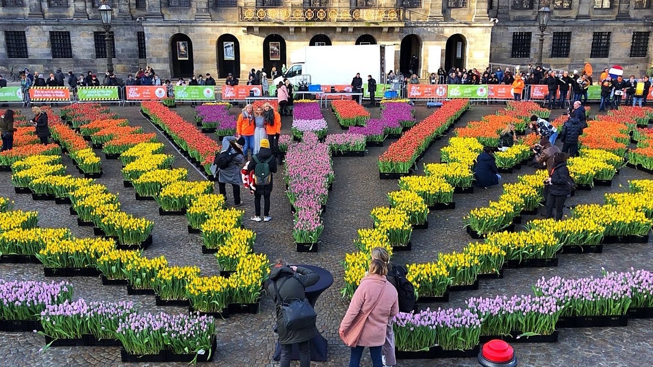 National Tulip Day In Amsterdam 2019 Youtube 