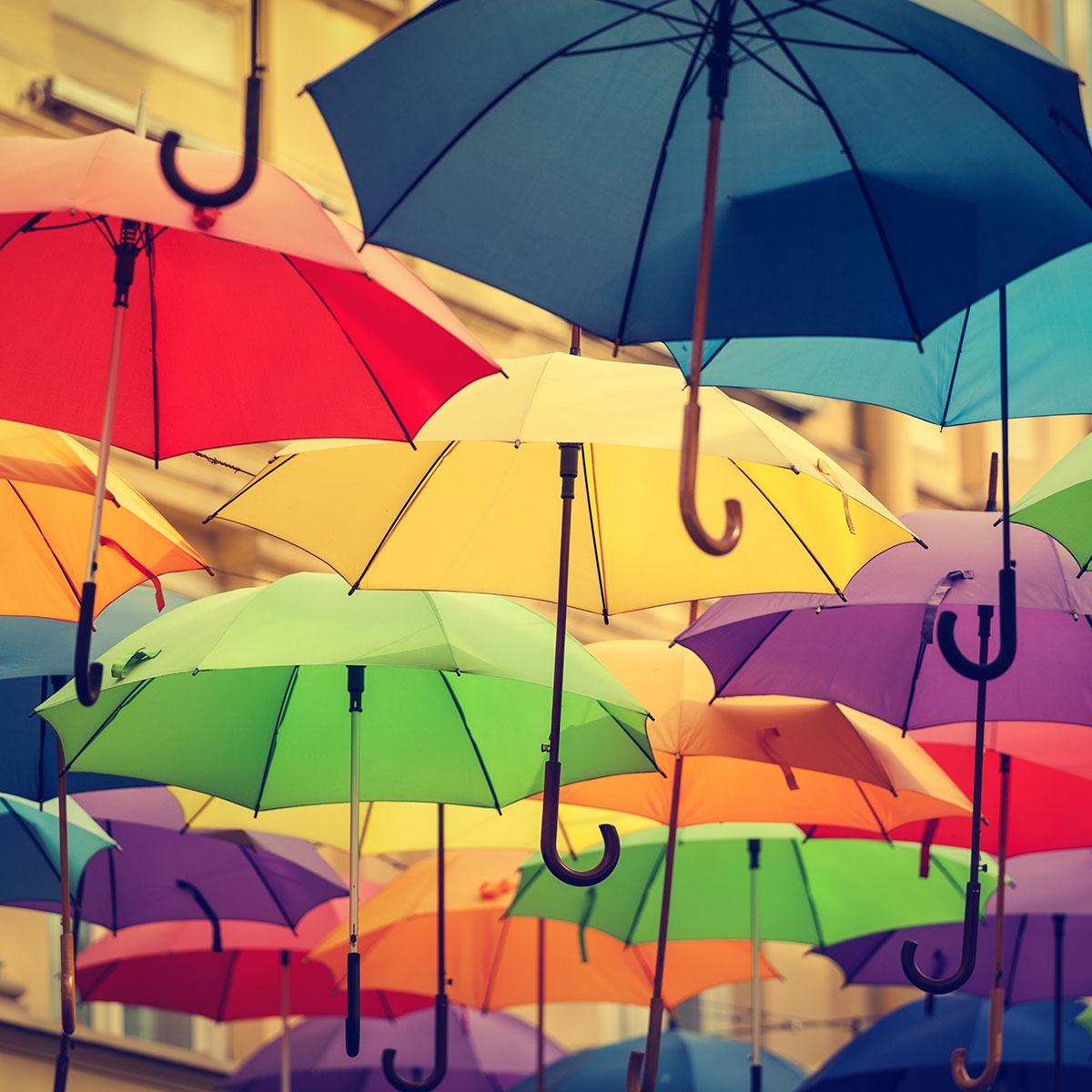 National Umbrella Day February 10 2019 National Today 