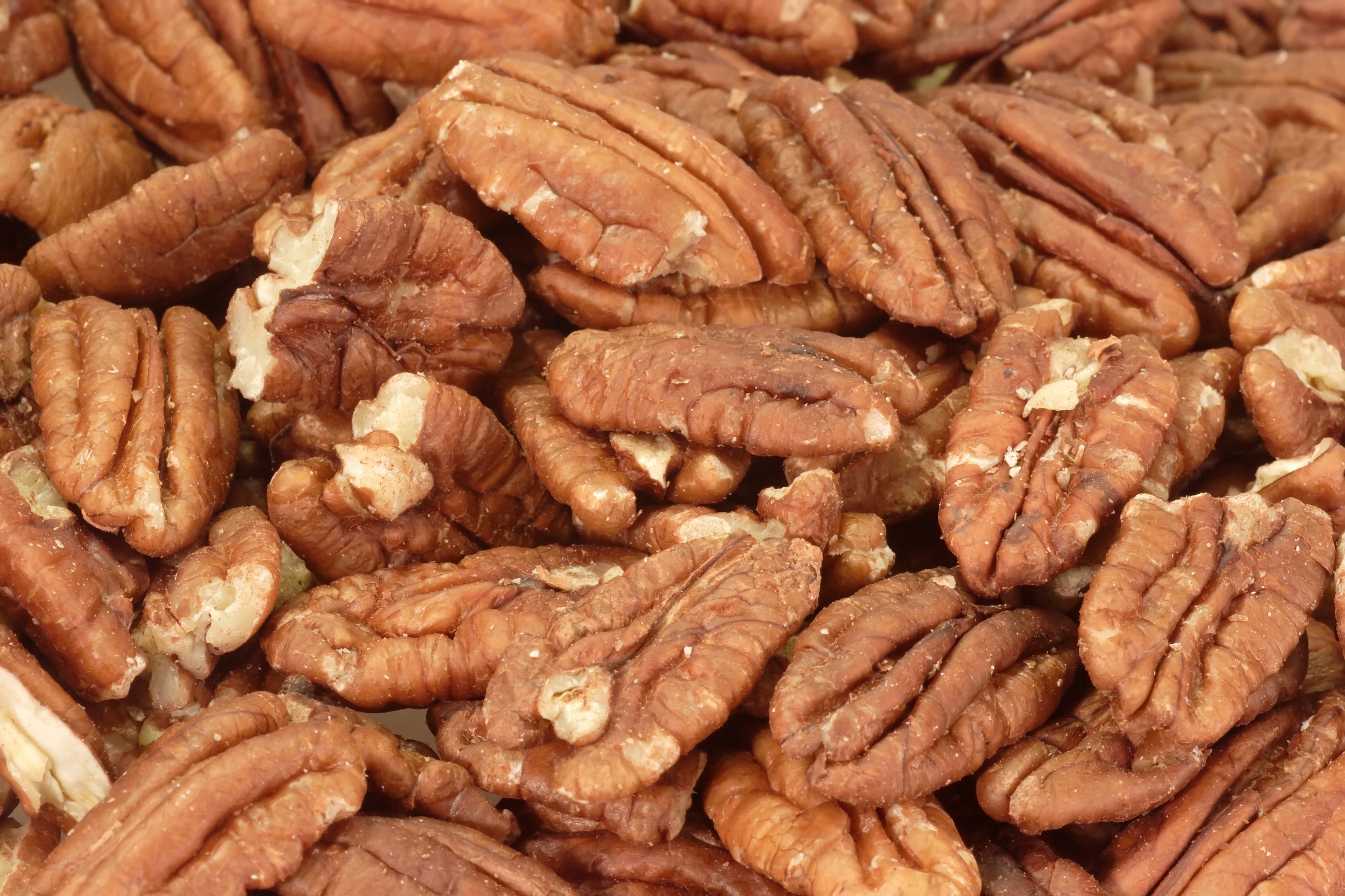 Pecan Day Days Of The Year 