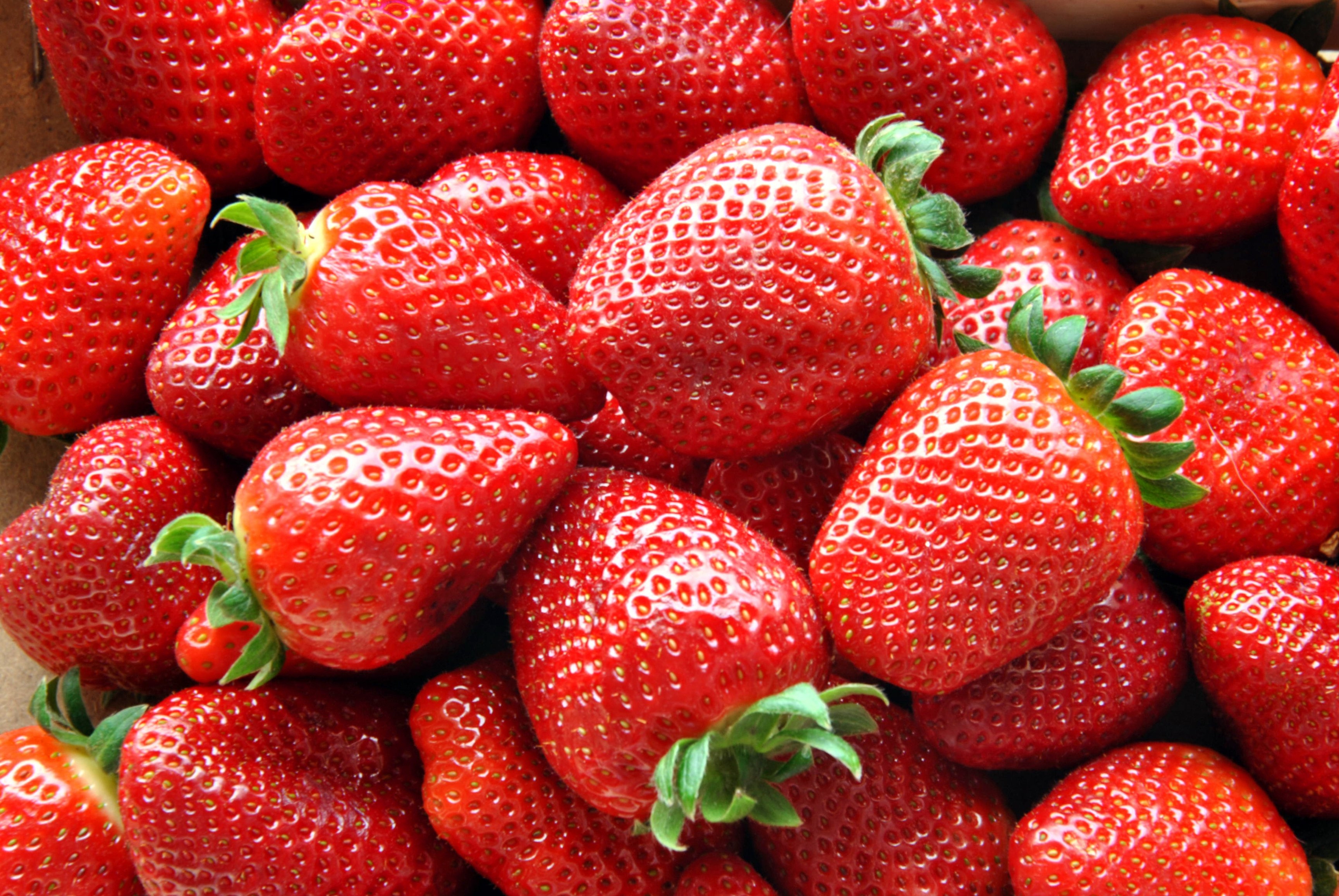 Pick Strawberries Day Days Of The Year 