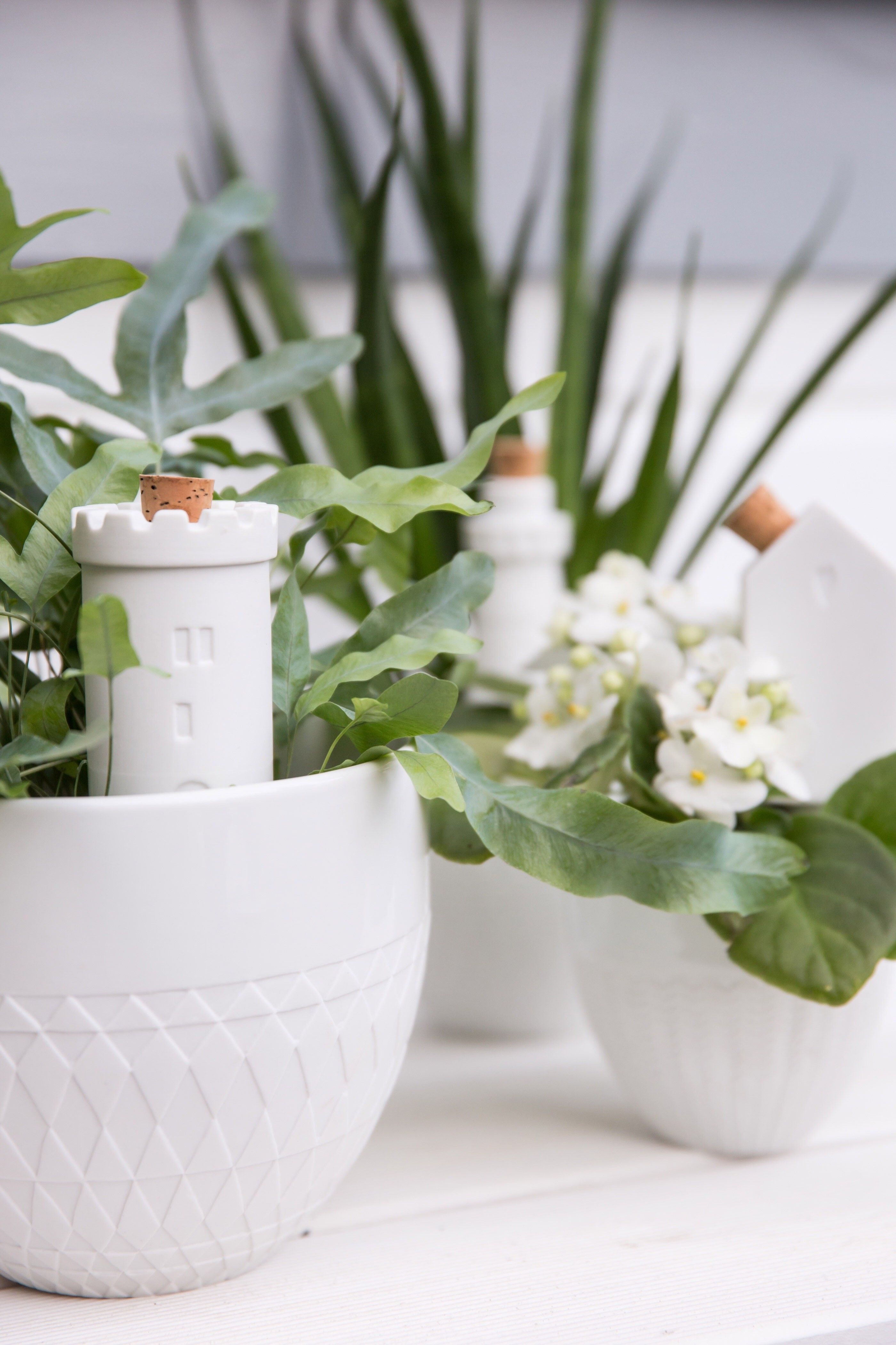 Porcelain Water Dispenser For Plants In 2019 Balcony On A Budget 