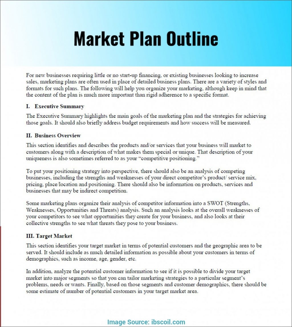 Product Marketing Plan Template Sample Pdf Launch Example Basic 