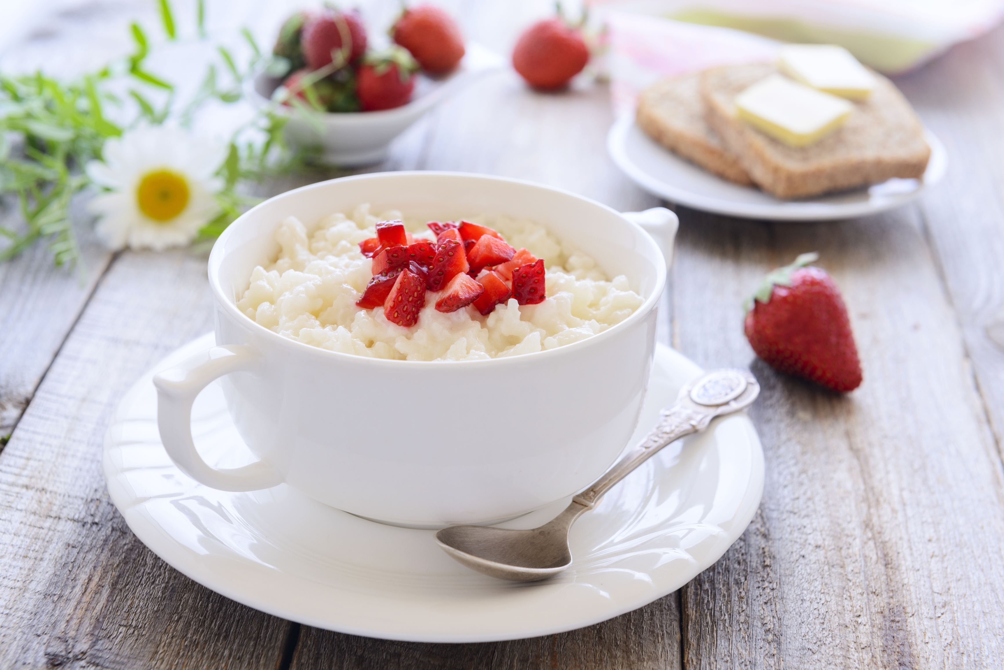 Rice Pudding Day Days Of The Year 