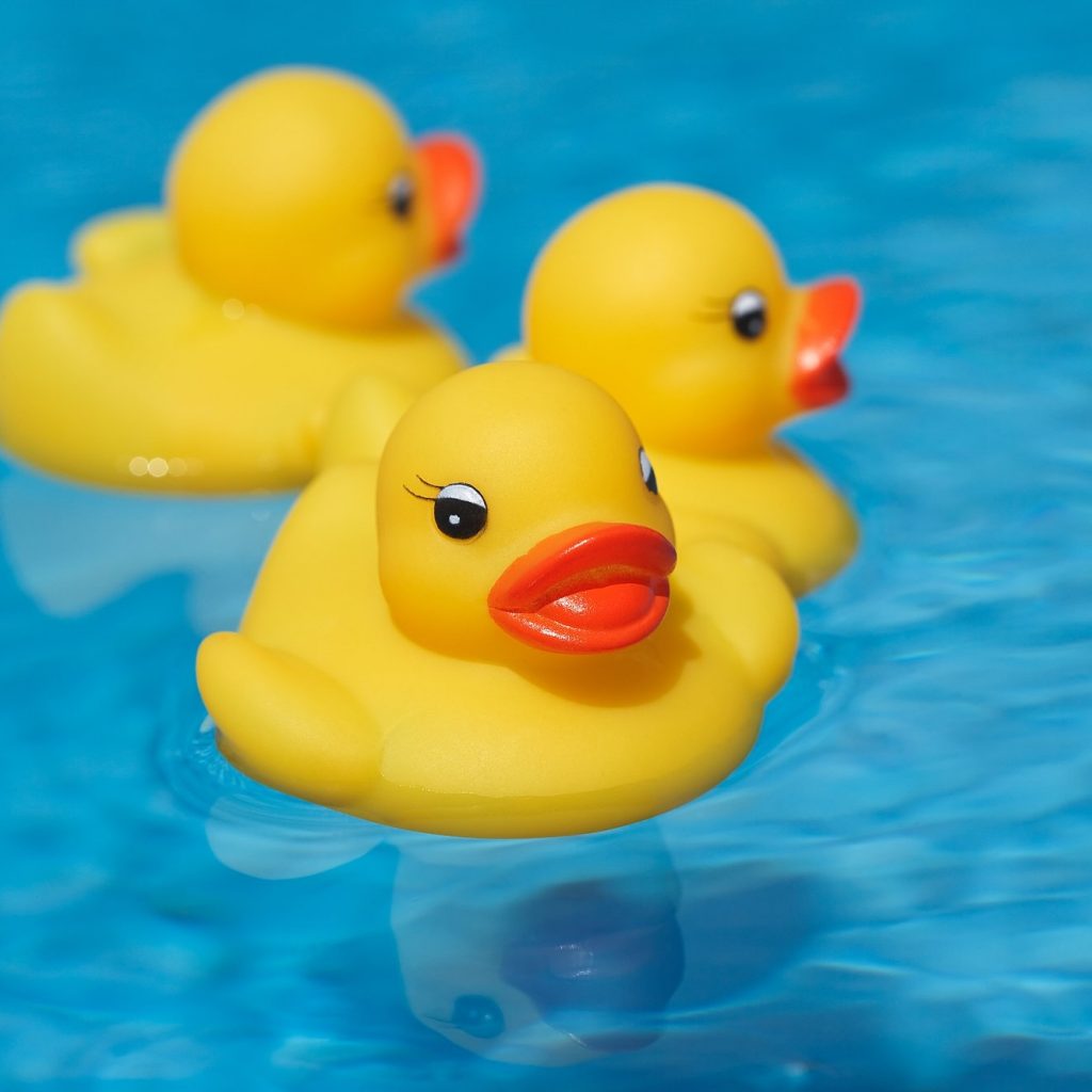 Rubber Duckie Day Days Of The Year