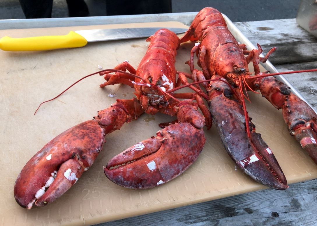 Senate Recognizes September 25th As National Lobster Day For 4th 