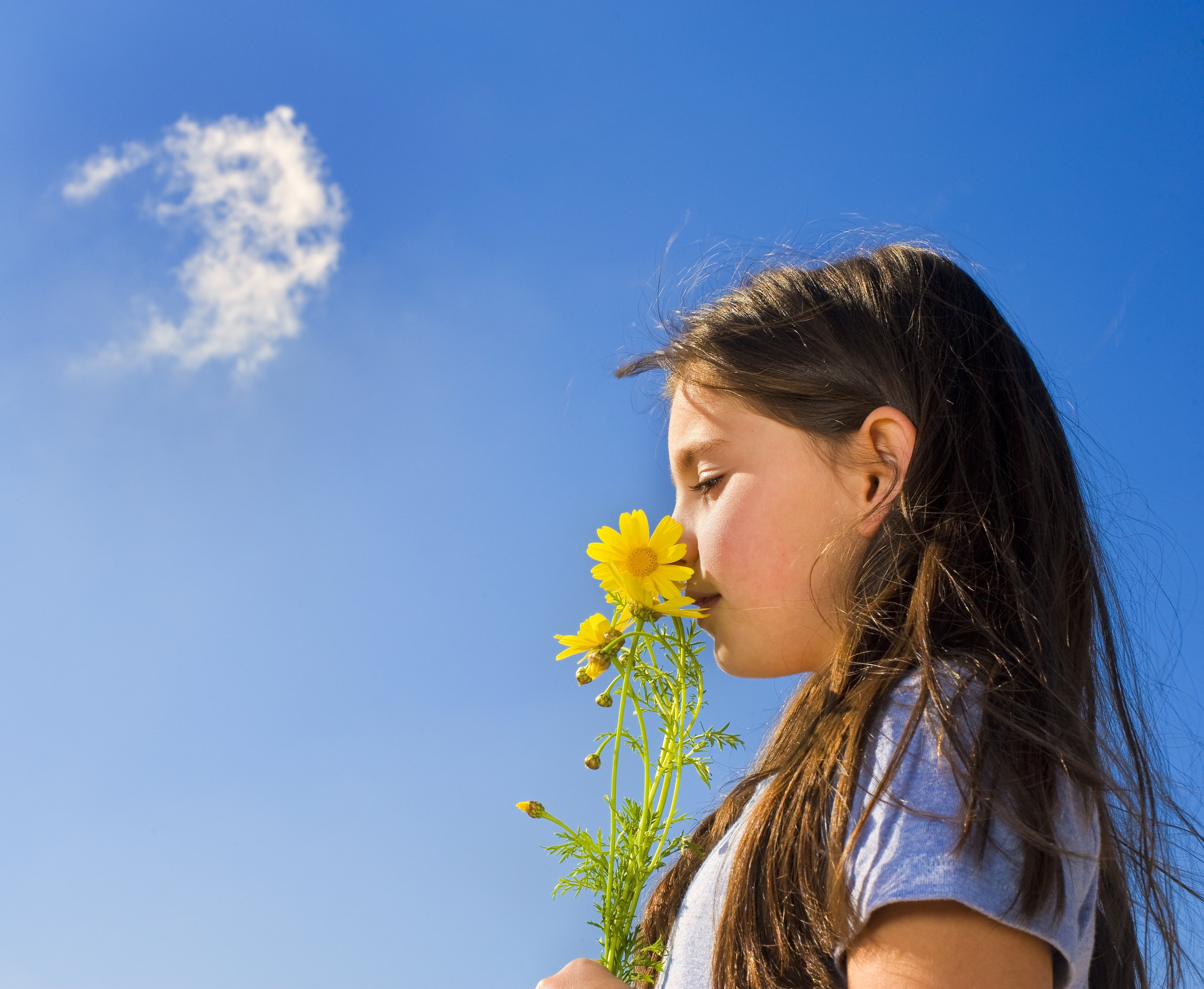 Sense Of Smell Day Days Of The Year 