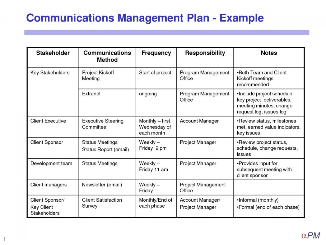 Simple Project Management Plan Template Pdf Crisis Examples Smorad 