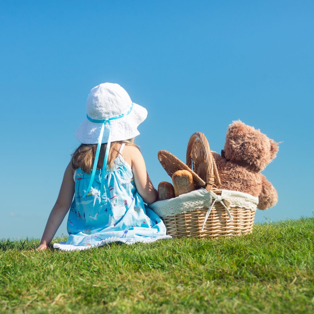 Teddy Bear Picnic Day Days Of The Year