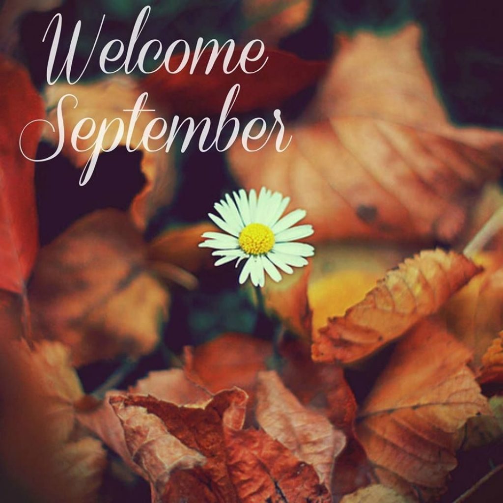 Welcome September Images Autumn Autumn Flowers Fall