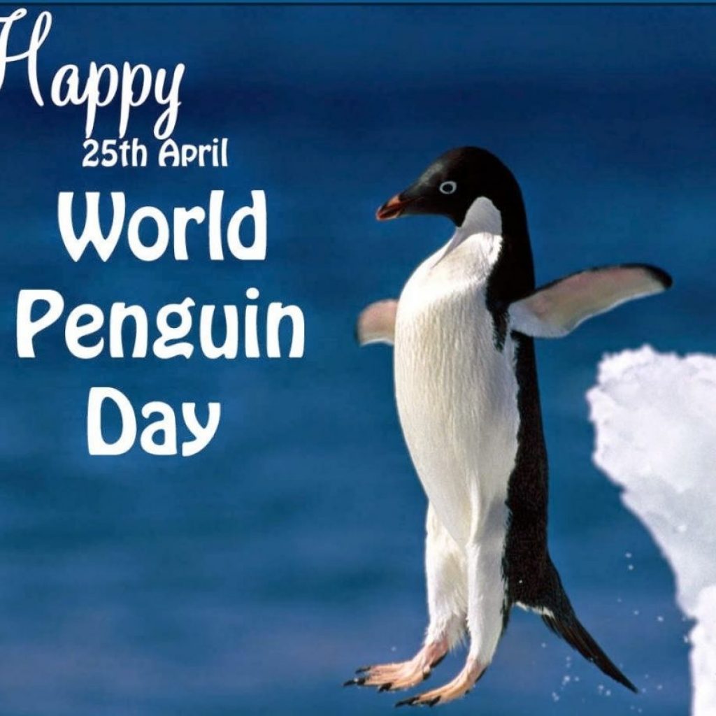 World Penguin Day 2018 National Awareness Days Events Calendar