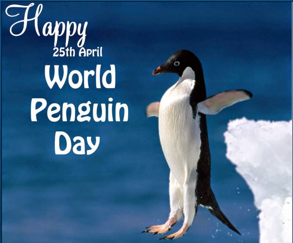 World Penguin Day 2018 National Awareness Days Events Calendar