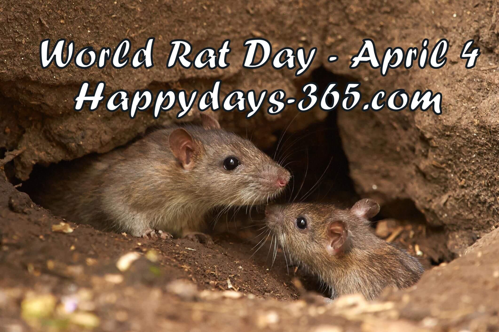 World Rat Day April 4 2019 Happy Days 365