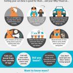 World Spay Day Neutering Offer