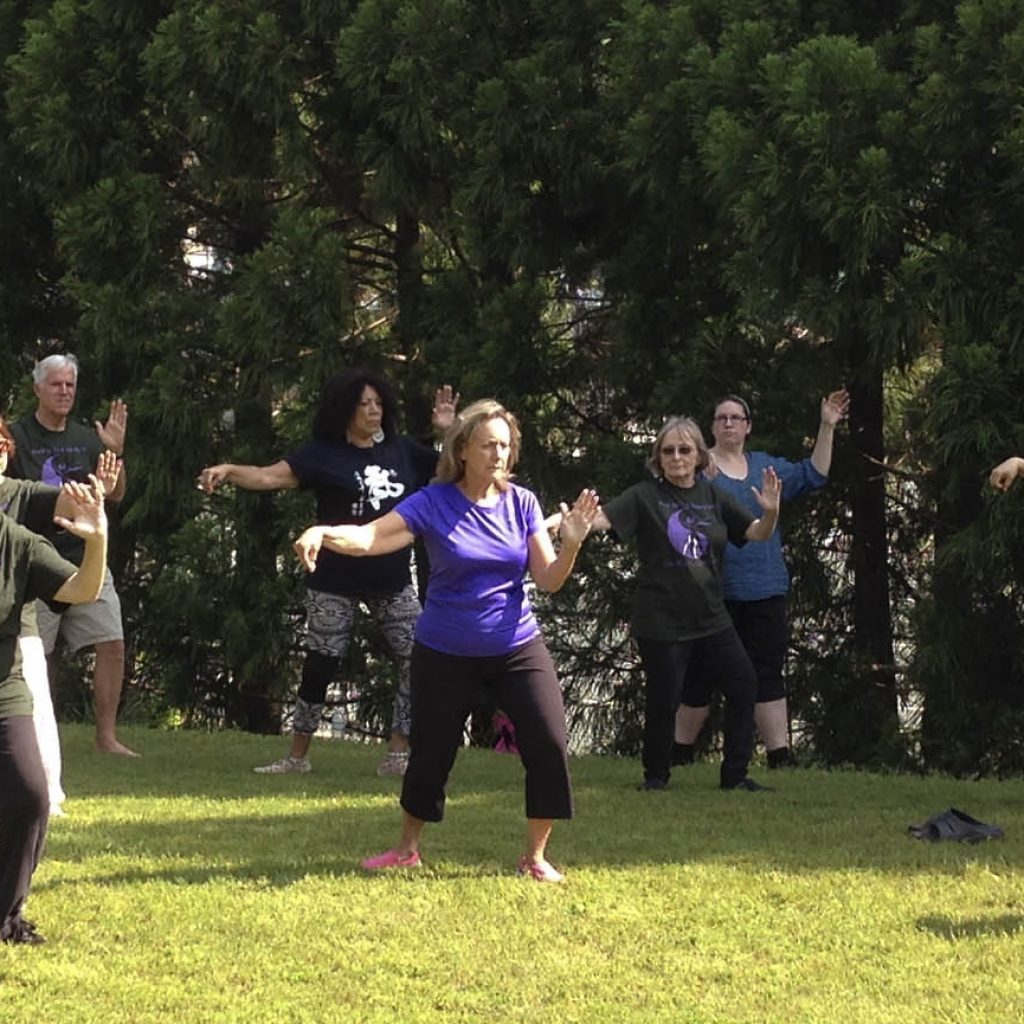 World Tai Chi Day 2019 Qi Moving Meditation