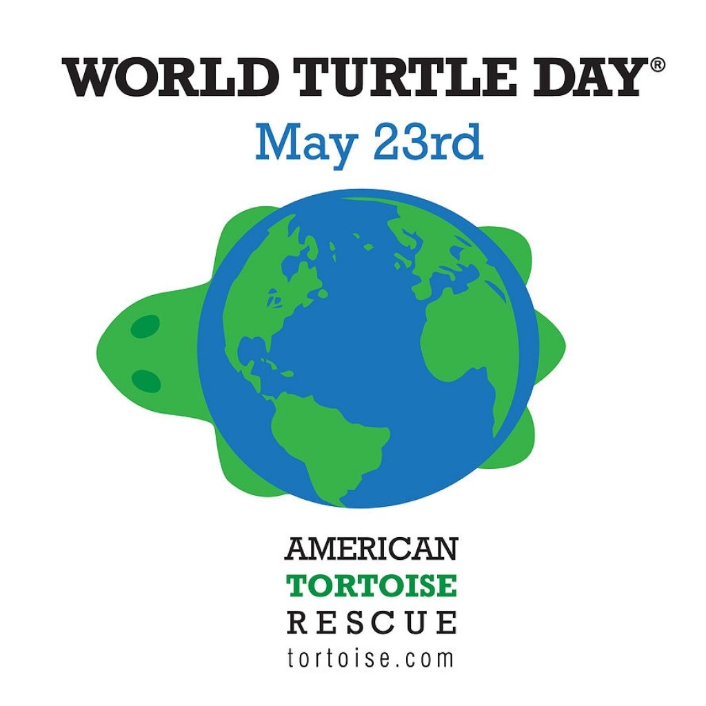 World Turtle Daywiseoceans