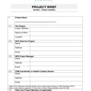 14 Project Brief Examples Pdf Examples