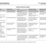 20 Free Needs Assessment Examples Pdf Examples