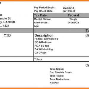 7 Paycheck Stub Template For Excel Samples Of Paystubs