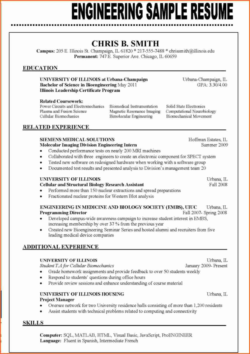 Best Example Of Resume Format Then 13 Resume Format Examples 2016