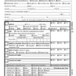 Blank Police Ticket Template Speed Ticket Ticket Template