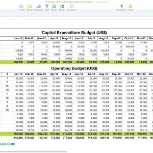 Capital Expenditure Policy Template