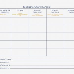 Daily Medication Chart Template Printable Kleobergdorfbibco