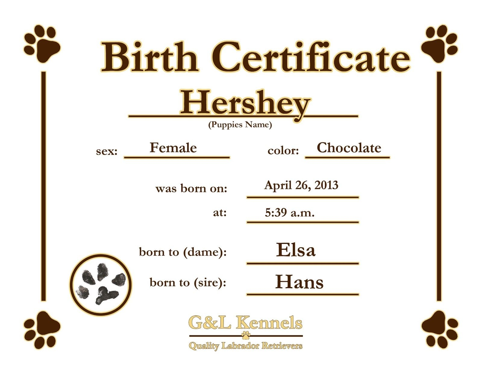 Dog Birth Certificate Template Puppy Birth Certificates Cjs Pup 