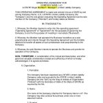 Download Amendment To Llc Operating Agreement Style 1 Template For