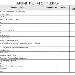 Environment Health And Safety Audit Plan