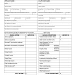 Free Printable Personal Financial Statement Blank Personal