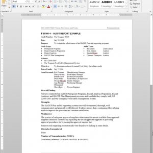 Fsms Audit Report Example Template
