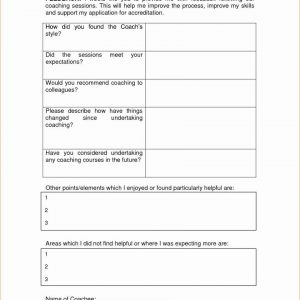 Life Coach Business Plan Pdf Template Fresh Employee Coaching Form