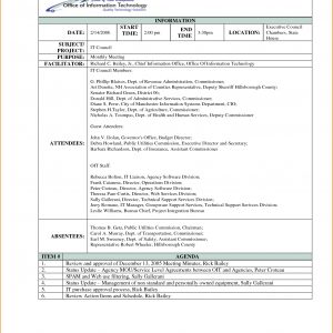 Meeting Minutes And Summary Template Sample Violeet